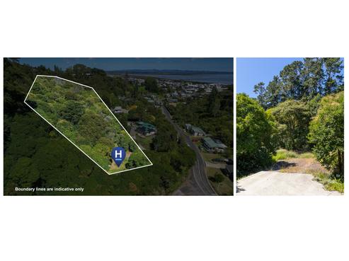 406 Karaka Road, Thames