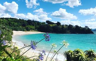 190 Pacific Ocean, Slipper Island (Whakahua), Thames