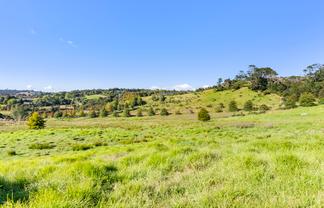 123A Escott Road, Dairy Flat