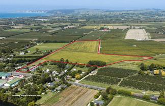 541 State Highway 51, Hastings