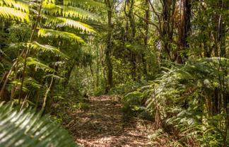 Lot 2, 72 Belk Road South, Omanawa