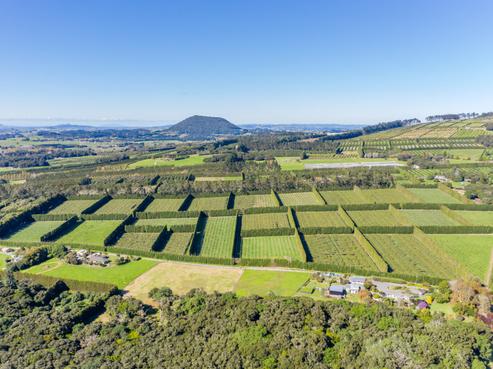 137 Simons Road, Poroti