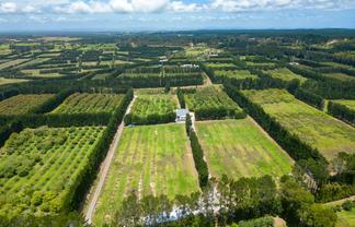 100 Whalers Road, Pukenui