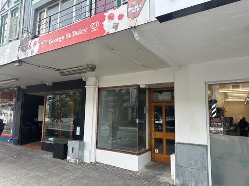 376 George Street, Dunedin Central