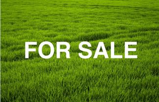 11 Makomako Drive, Orewa