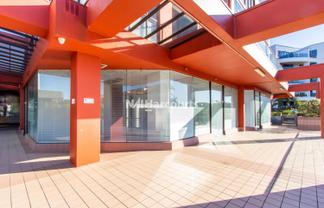 Professional Takapuna Office 