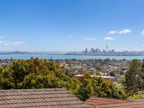 207 Royal Road, Massey