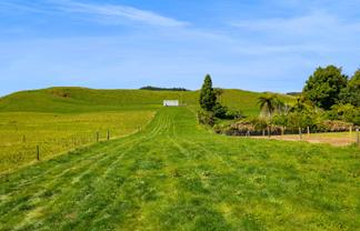 0n Mangorei Road, New Plymouth