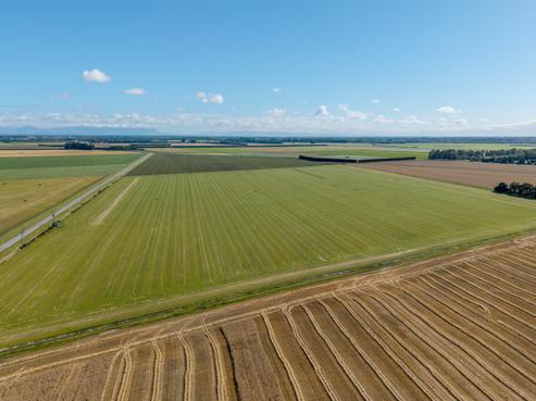 197 Tinwald Westerfield Mayfield Road, Tinwald