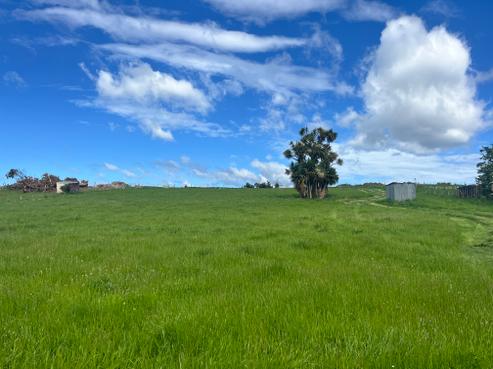 1513 Riverton Otautau Road, Otautau
