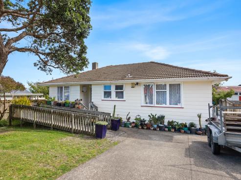 126 Corinna Street, Waitangirua