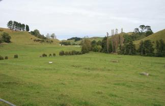 292 Gordon Road, Toko