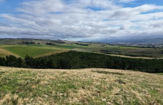 3/220 Taieri Peak Road, Palmerston