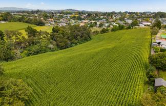 6 Seales Road, Morrinsville