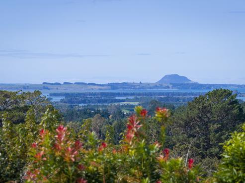 360A Busby Road, Katikati