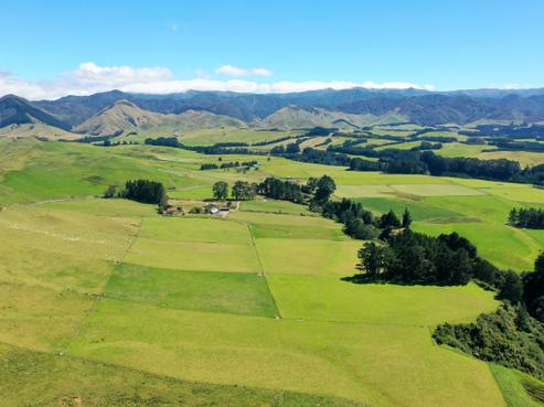 412 France Road, Dannevirke