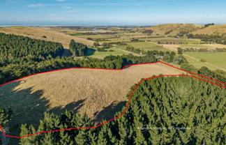 270 Millers Road Gebbies Valley, Motukarara