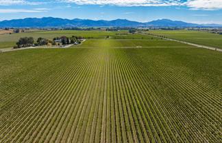 1 Wairau Plains, Renwick