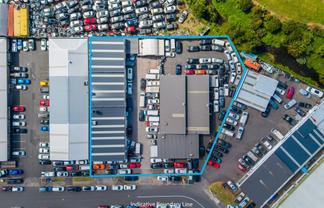 Multi-Unit Industrial Investment with Flexibility