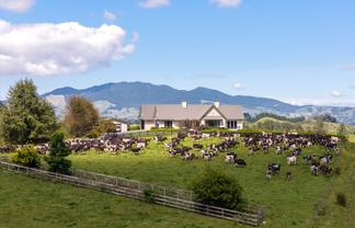 Lot 2, 4/366 Karapiro Road, Karapiro