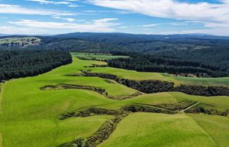 759 Waitahuna Gully Road, Lawrence