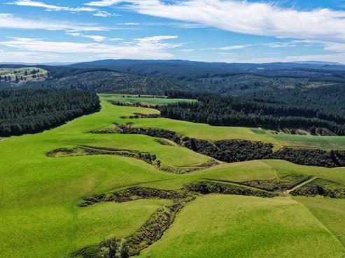 759 Waitahuna Gully Road, Waitahuna