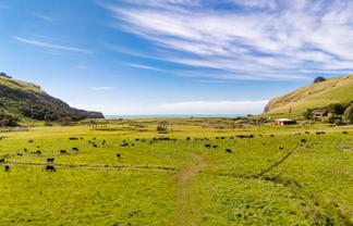 461 Goughs Road, Goughs Bay