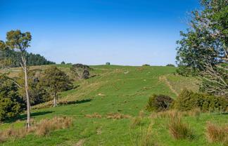 Lot 19 Anderson Road, Helensville