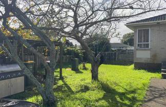 402 Roscommon Road, Clendon Park