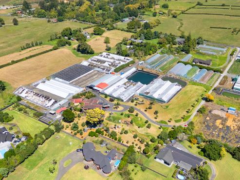 123 Jesmond Road, Karaka
