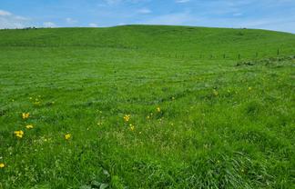 0n Upper Stuart Road, Eltham