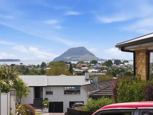 6C Mana Street, Otumoetai
