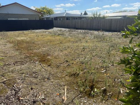 103A Grove Street, Tinwald