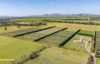 206 Mount Brown Road, Amberley
