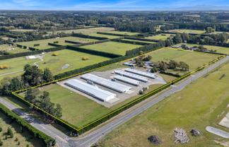 Immaculate Broiler Farm: Scale & Income