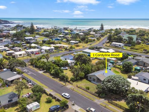 1 Cordyline Road, Port Waikato