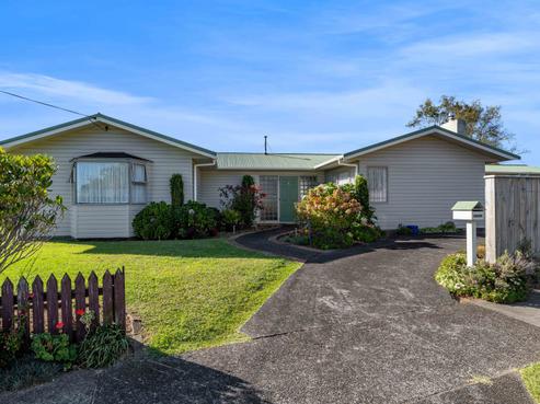238 Huatoki Street, Upper Vogeltown