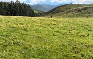 . Tamaki East Road, Dannevirke