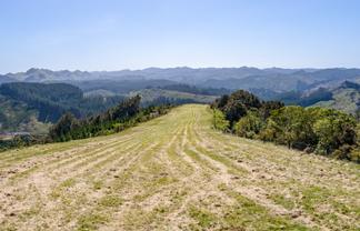 939 Kaiwhata Road, Te Wharau