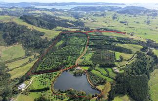 121C Purangi Road, Whenuakite