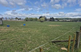 76 Racecourse Road, Waipukurau