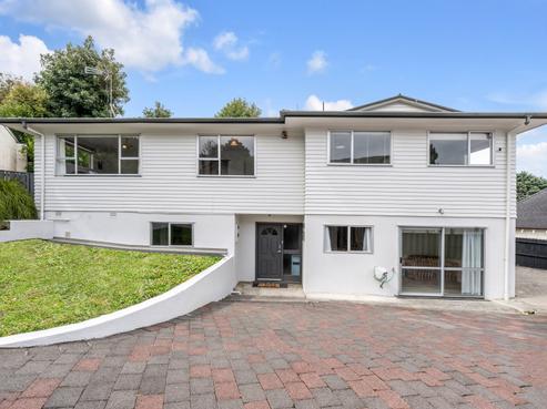 2/3 Pohutukawa Avenue, Shelly Park