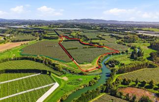 206 Casuarina Drive, Te Puke