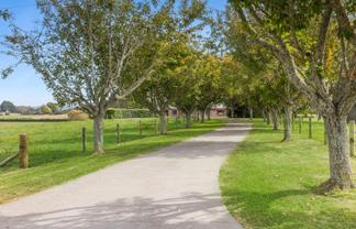 4599 State Highway 29, Matamata