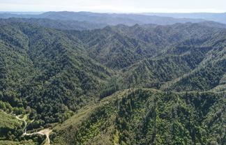  Kauarapaoa Road, Brunswick