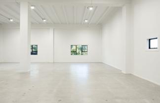 Immaculate 278 m2 Eden Terrace Showroom/Warehouse