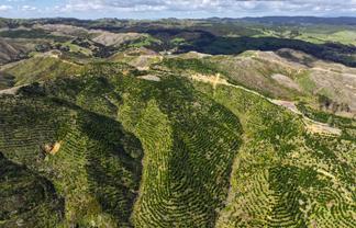 Highway 22, Ngaruawahia