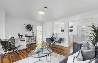 5 Middlesex Road, Waterview