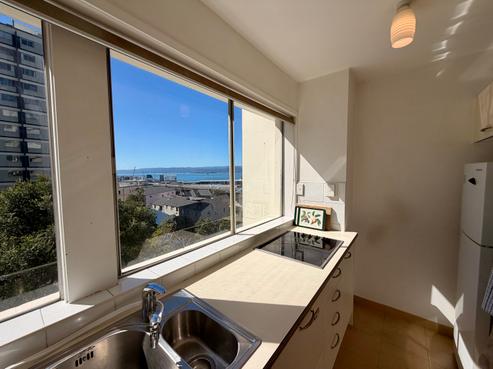 3/19A Cottleville Terrace, Thorndon