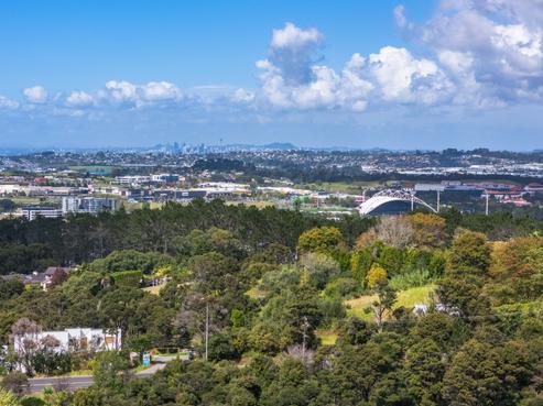 251 Lonely Track Road, Albany Heights